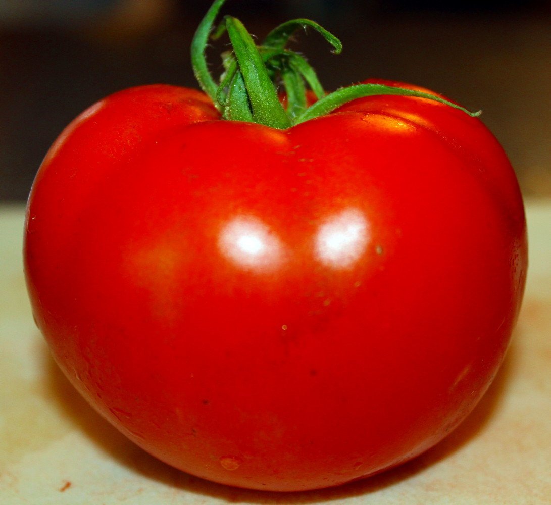 tomato logo